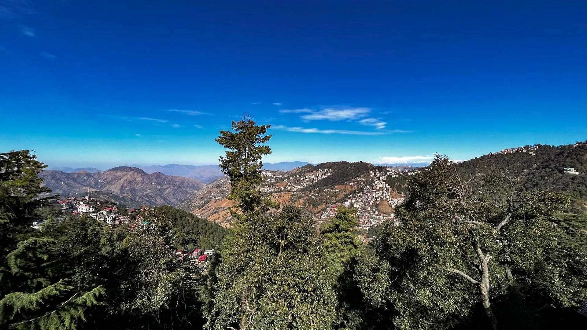 Puri'S Bnb Shimla India